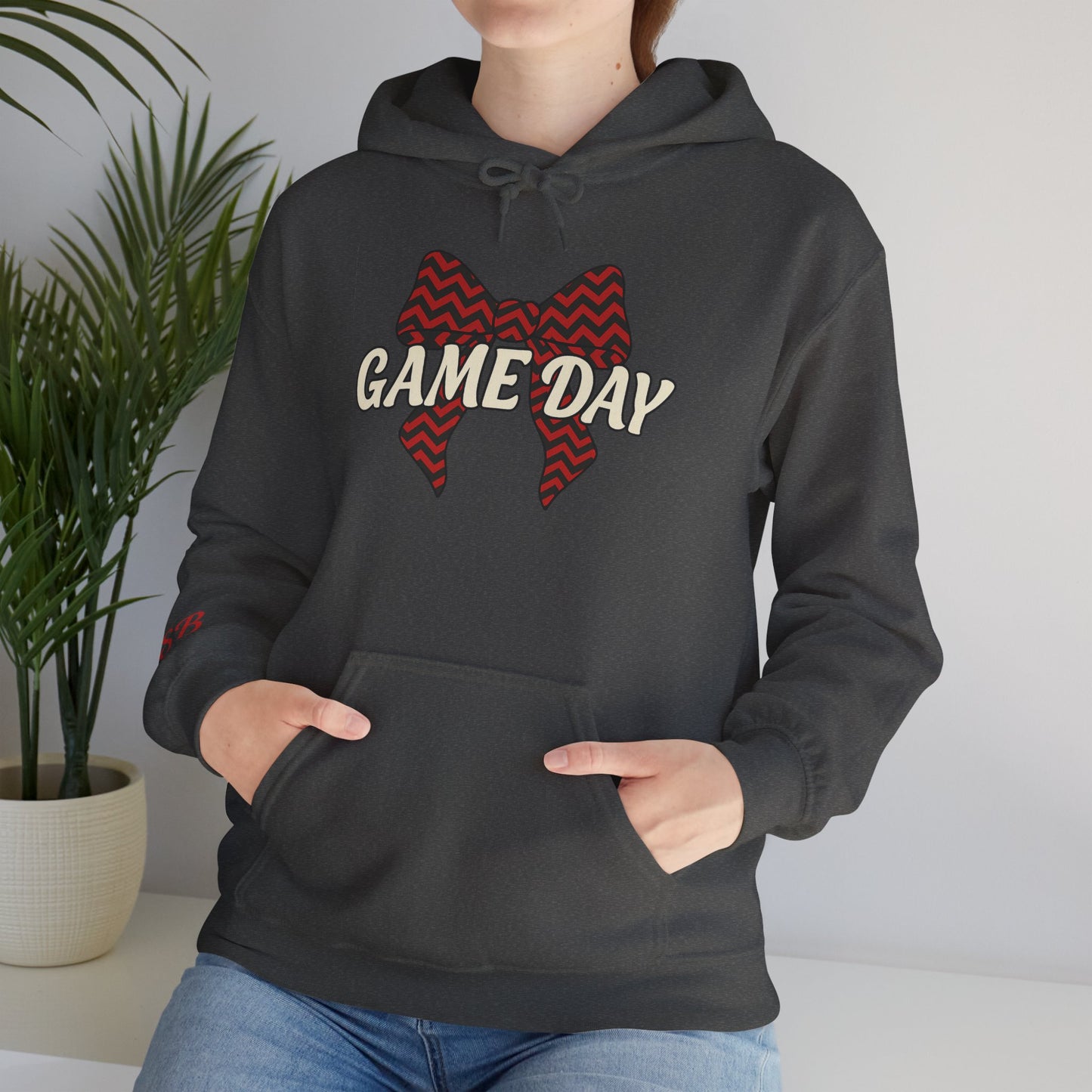 SB Sports Line Game Day Hoodie